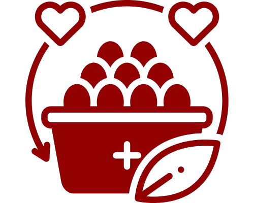 mie krezzi Kesesuaian Nutrisi